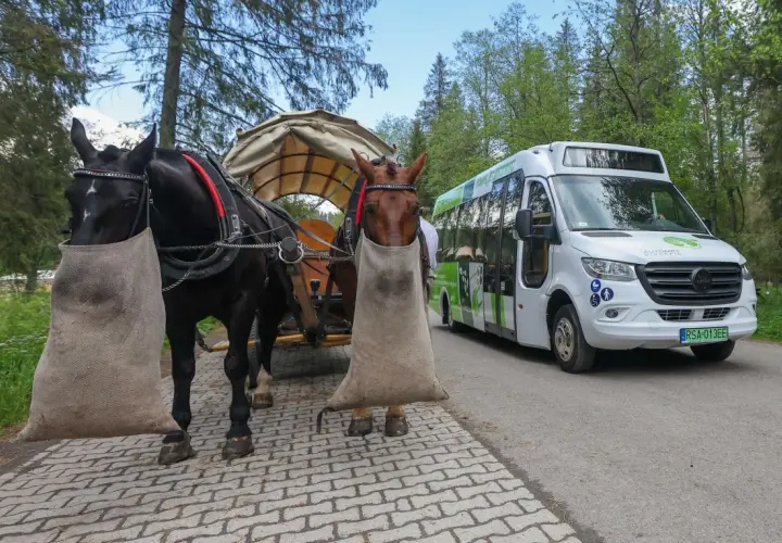 Dwa konie z workami na nogach czekają na turystów, którzy wybierają się na Morskie Oko. Obok stoi elektryczny bus.