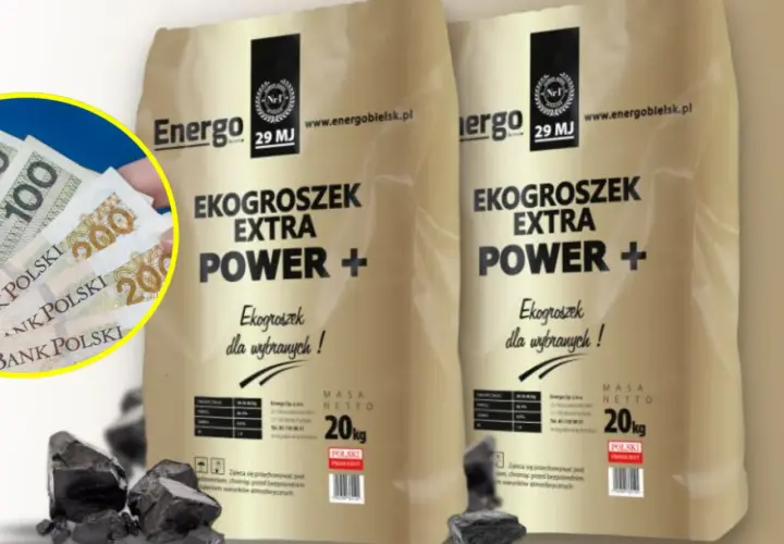 Dwie torby ekogroszku "Energo 29 MJ" i polskie banknoty. Ekogroszek na piec to dobry wybór.