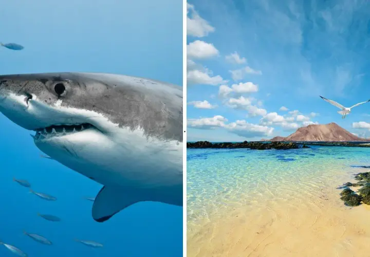 Fuerteventura czy jest bezpiecznie? Odkryj zagrożenia i porady.