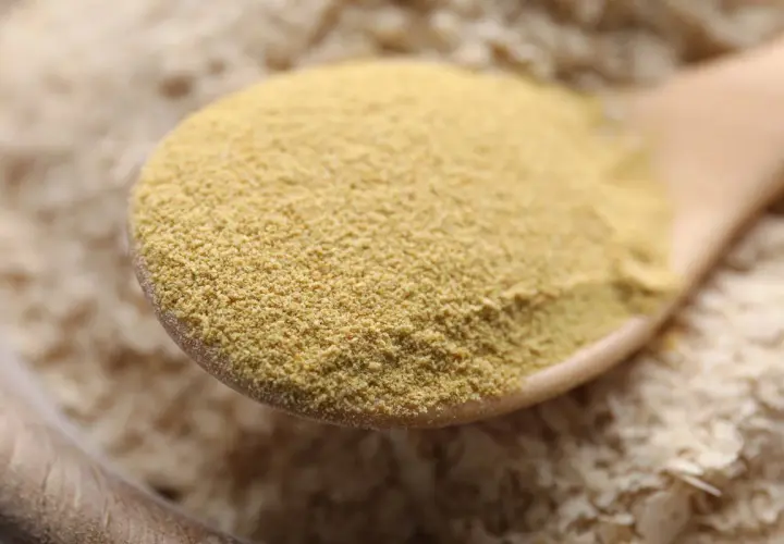 Une cuillère en bois remplie de levure de bière en poudre, jaune pâle. La question "la levure de bière fait elle grossir ?" plane.