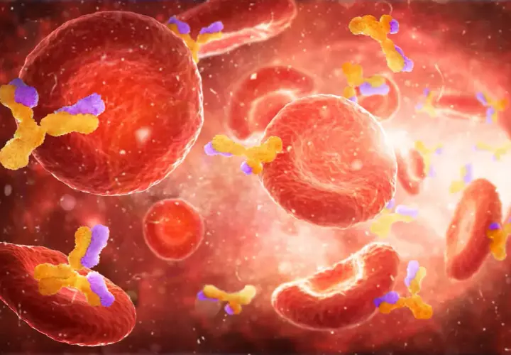 Die komplexe Diagnostik von Autoimmunerkrankungen verstehen