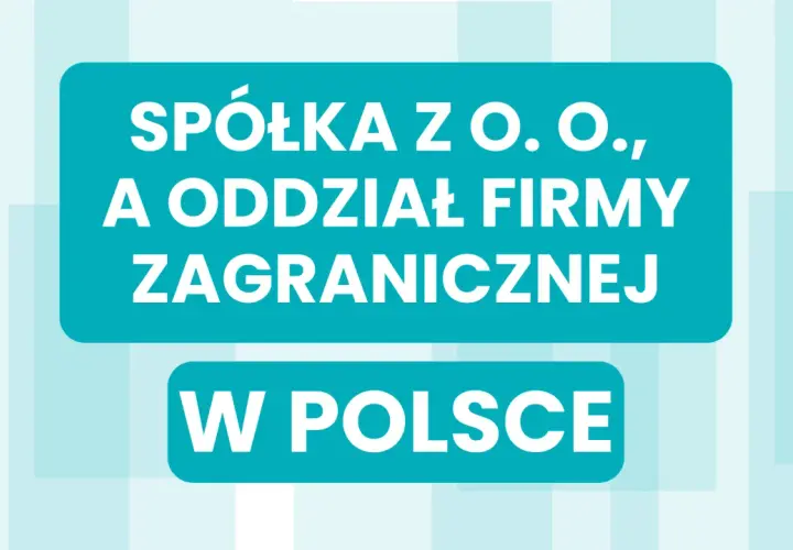 Spółka z o.o. i oddział firmy zagranicznej w Polsce.