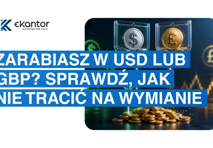Zarabiasz w USD lub GBP? Sprawdź, jak nie tracić na wymianie, śledząc kurs euro międzybankowy.