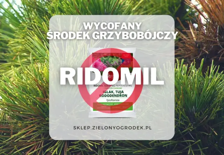 Informacja o tym, że Ridomil Gold wycofany. Środek grzybobójczy na iglaki, tuje i rododendrony.