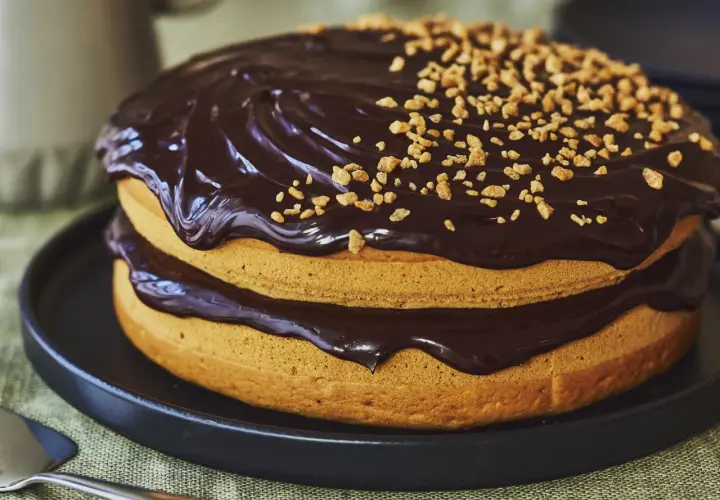 Gâteau sans oeuf à deux étages, nappé de chocolat noir brillant et parsemé de noisettes concassées. Un délice pour tous !
