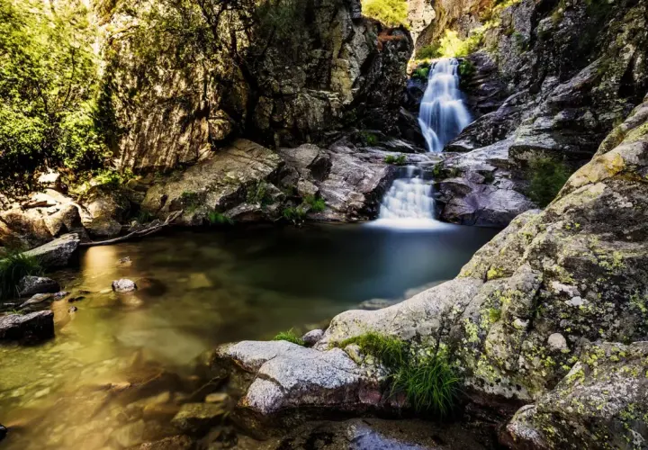 Agua cristalina fluye en la cascada del purgatorio, rodeada de rocas cubiertas de musgo y vegetación exuberante.