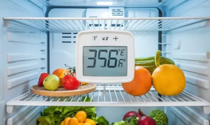 Jaka temperatura w lodówce? Świeżość, zdrowie i niższe rachunki!