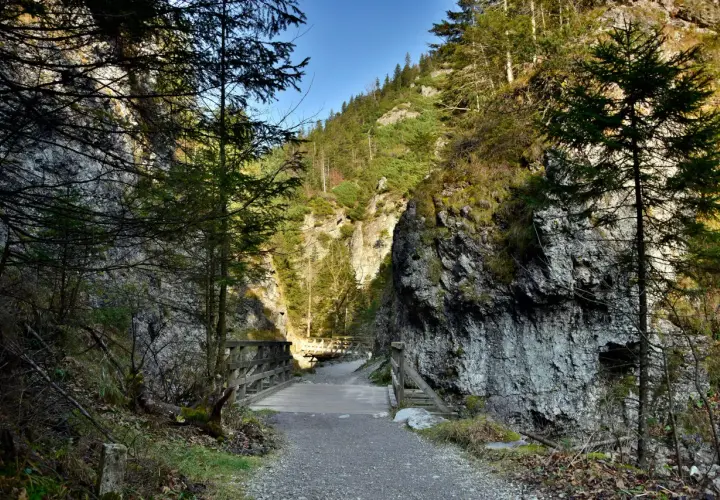 Kamienista ścieżka prowadzi przez wąwóz z drewnianymi kładkami. Idealne tatry szlaki dla początkujących, otoczone skalnymi ścianami i zielenią.