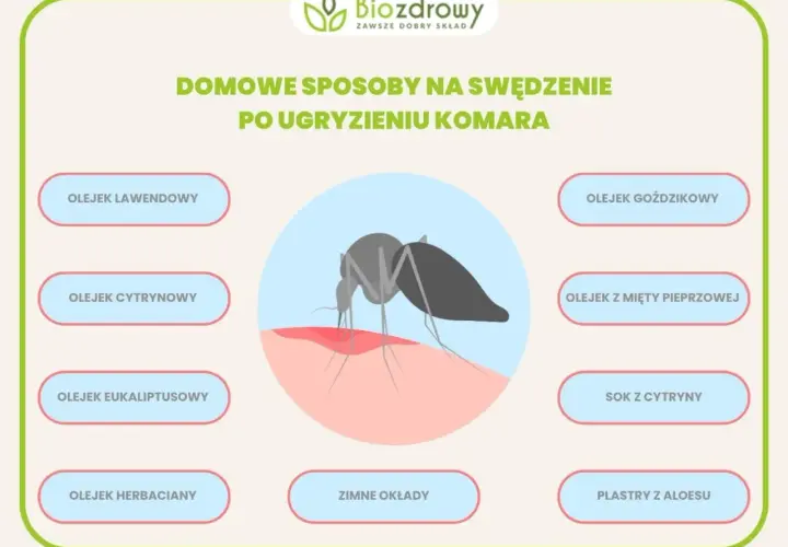 Grafika pokazuje komara gryzącego skórę, wywołując swędzenie. Przedstawia domowe sposoby na uczulenie na komary, np. olejki i zimne okłady.