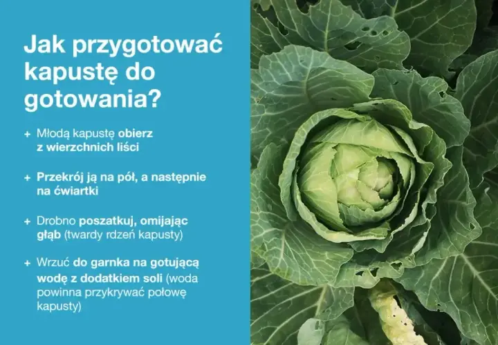 Młoda kapusta, gotowa do przygotowania. Instrukcja krok po kroku, jak ją obrać, pokroić i ugotować.