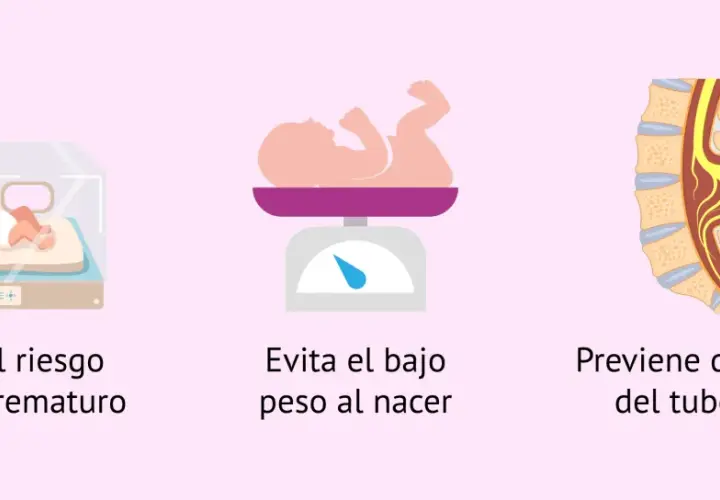 El ácido fólico en el embarazo ayuda a prevenir el parto prematuro, el bajo peso al nacer y defectos del tubo neural.