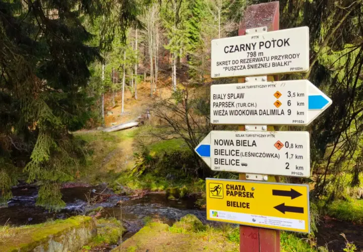 Co oznaczają kolory szlaków rowerowych? Odkryj ich znaczenie i typy