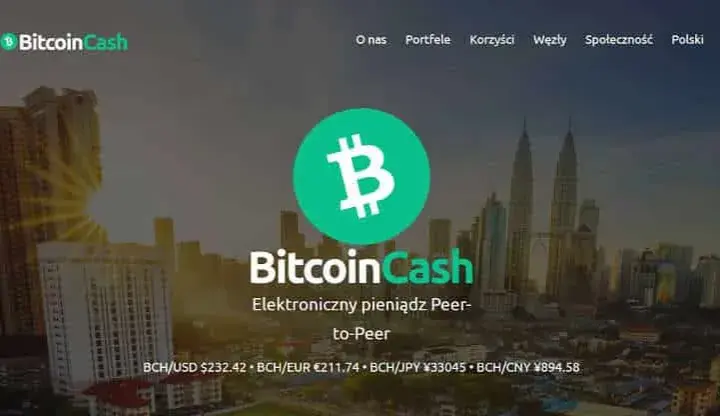 Bitcoin Cash czy warto: Analiza opłacalności inwestycji w BCH