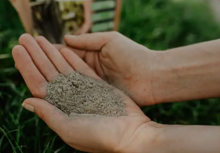 Dłonie trzymające mączkę bazaltową, która jest naturalnym nawozem. Jej zastosowanie to poprawa struktury gleby i dostarczenie roślinom cennych minerałów.