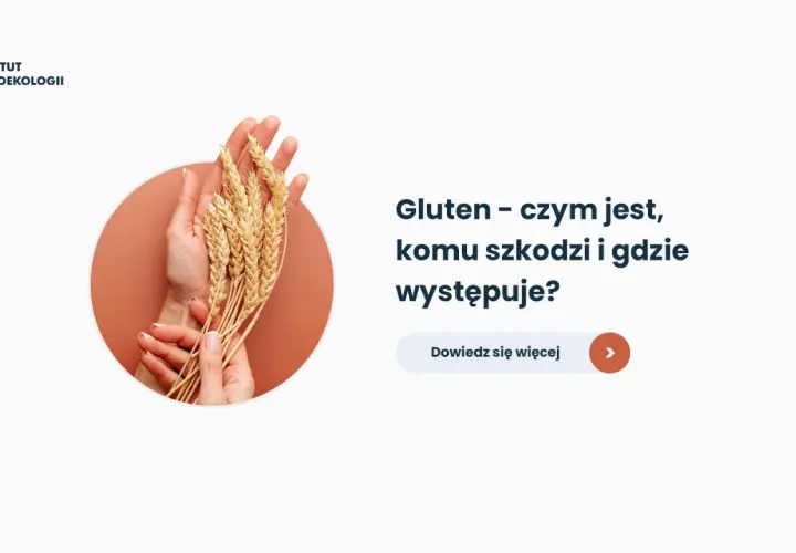 Dłonie trzymające kłosy zbóż. Tekst pyta: Gluten - czym jest, komu szkodzi i gdzie występuje? Dowiedz się więcej.