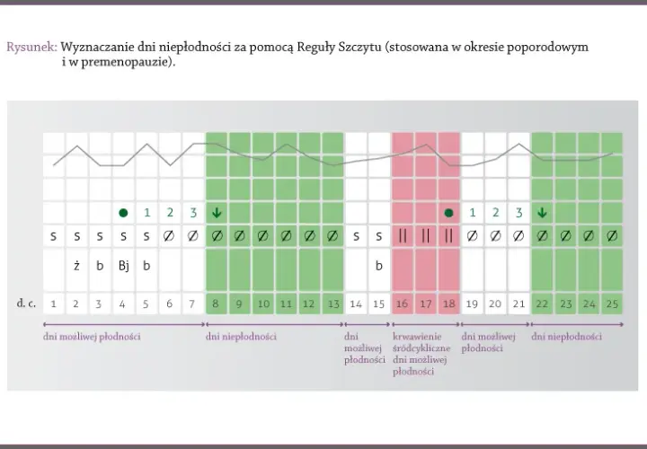 Dni płodne w menopauzie? Czy ciąża po 40. jest możliwa?