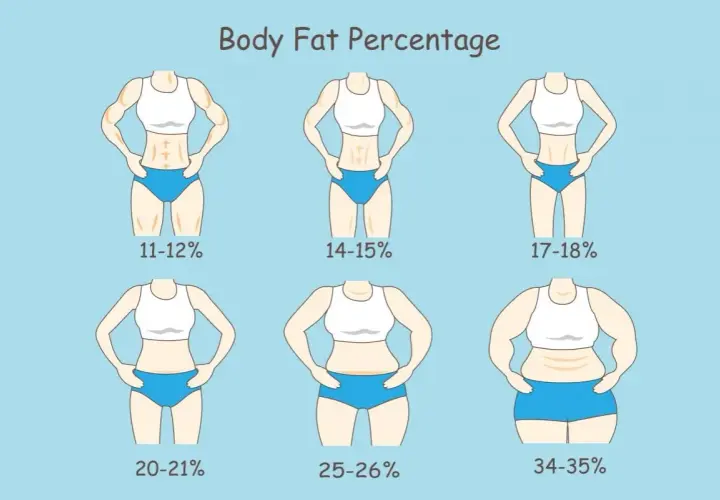 Ilustracja pokazuje sześć sylwetek kobiet z różnym procentem tkanki tłuszczowej, od 11-12% do 34-35%.