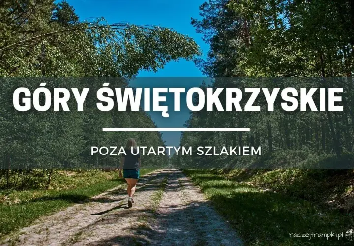 Kobieta idzie ścieżką przez las w Górach Świętokrzyskich. Odkryj nieznane szlaki!