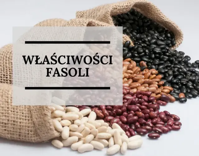 Czy fasola jest dietetyczna? Odkryj jej niesamowite właściwości zdrowotne