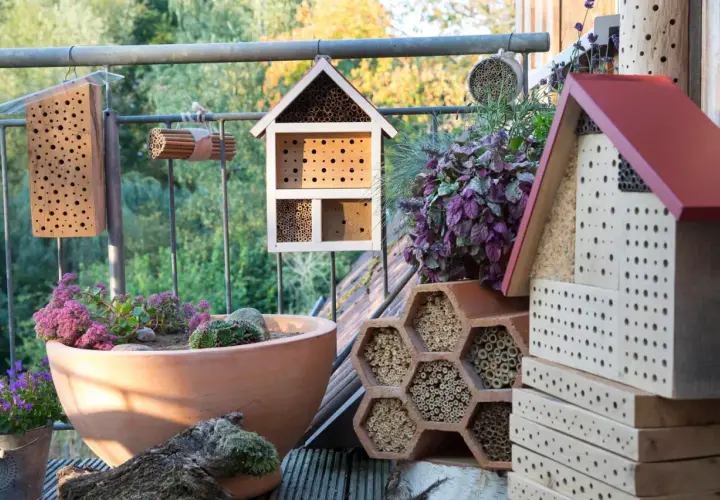 Mehrere Insektenhotels und ein bienenfreundlicher Topf mit Pflanzen. Ein perfektes wildbienen nest für kleine Krabbler.