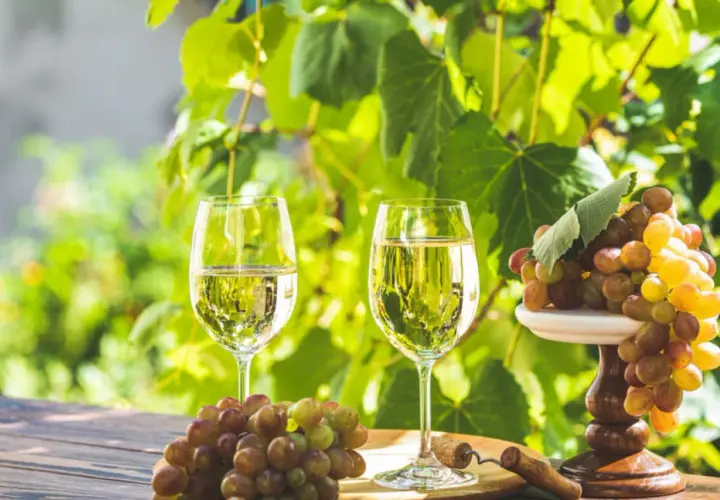 Deux verres de vin blanc frais, des grappes de raisins et un tire-bouchon sur une table en bois, parfait pour une visite à Saint-Émilion.