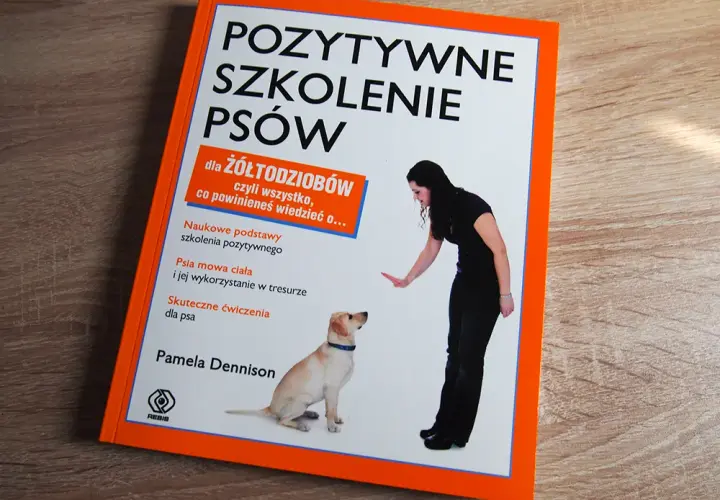 Szkolenie dorosłego psa: Praktyczny przewodnik po pozytywnych metodach