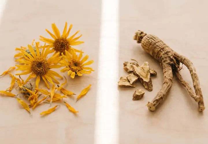 Fiori gialli e radici secche, ingredienti naturali per preparare rimedi, come l'arnica per bocca, su una superficie chiara.