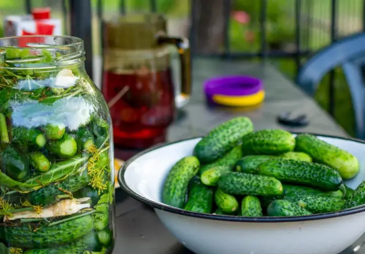 Słoik pełen ogórków kiszonych i miska świeżych ogórków, gotowych na ogórki małosolne.