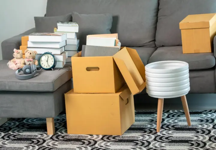 Umzugskartons, Bücher und Spielzeug auf einem Sofa. Ein privater Umzug steuerlich absetzen ohne Belege ist oft schwierig, aber diese Szene zeigt den Beginn des Packens.