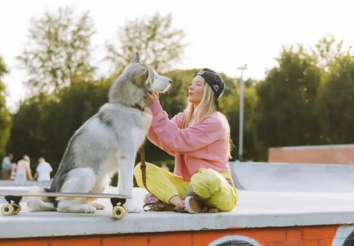 Dziewczyna z alaskan malamute na deskorolce w skateparku. Idealne miejsce, gdzie na spacer z psem Warszawa.