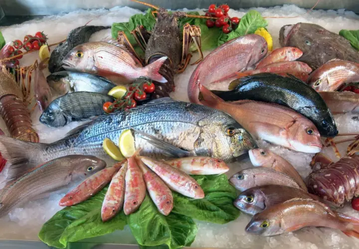 Un banco di pesce fresco su ghiaccio: aragoste, orate, triglie e un magnifico pesce azzurro al centro.