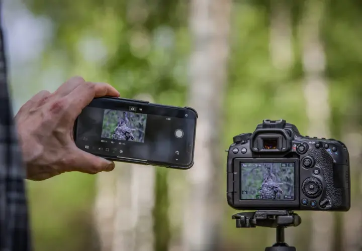 Dłoń trzyma smartfon z widokiem na sowę, obok aparat Canon EOS 90D również kadruje to samo zwierzę.