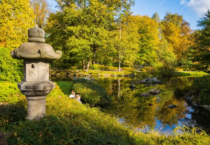 Kamienna latarnia w pięknym ogrodzie japońskim, otoczona jesiennymi barwami i spokojną wodą.