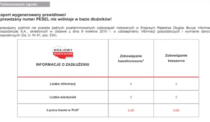 Jak sprawdzić krajowy rejestr zadłużonych i uniknąć finansowych problemów
