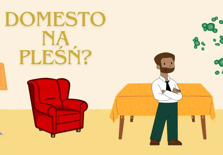 Mężczyzna patrzy na zieloną pleśń na ścianie. Czy Domestos na pleśń to rozwiązanie?