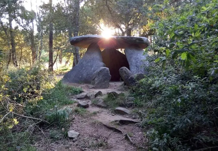 Kamienny krąg, zwany diabelskim kamieniem, w lesie. Słońce przebija się przez drzewa, oświetlając monumentalne głazy.