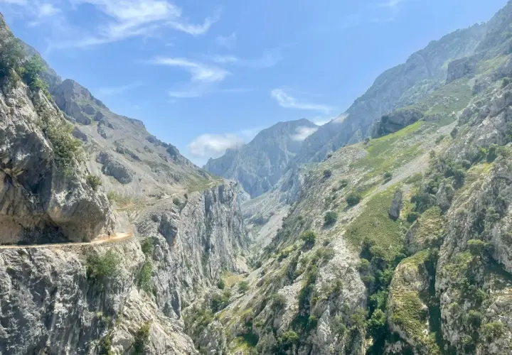 Un senderista recorre la **ruta del Cares**, un camino tallado en la roca entre imponentes montañas verdes y grises bajo un cielo azul con nubes.