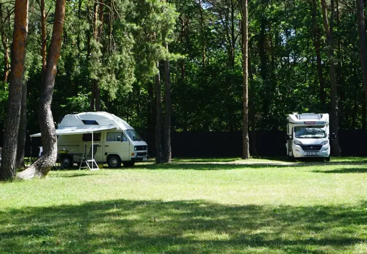 Dwa kampery zaparkowane na trawie w lesie, jakby zatrzymały się na chwilę przed dalszą podróżą, może w poszukiwaniu malowniczego przełomu rzecznego.