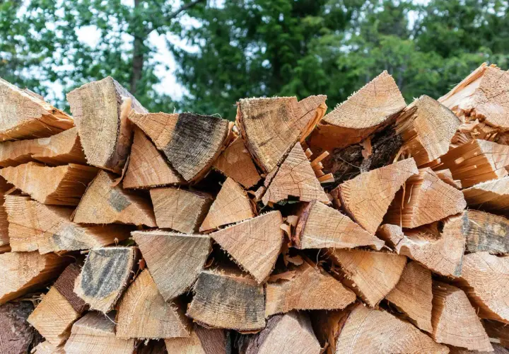 Stapel gespaltenes Holz, bereit für den Winter. Der hohe Brennwert von Walnussholz macht es zu einer beliebten Wahl für Kamine.