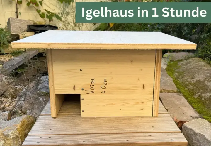 Fertig ist das Igelhaus bauen! Ein gemütliches Zuhause für den Igel, schnell und einfach.