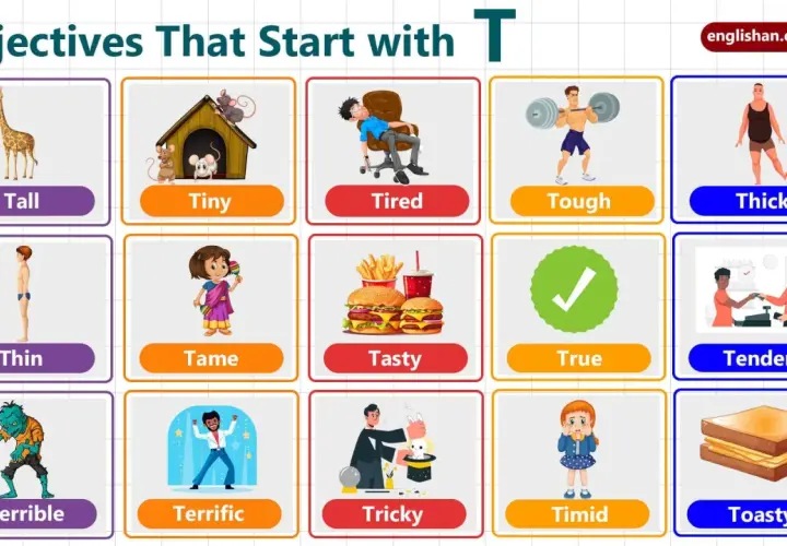 Aggettivi con la T: Tall, Tiny, Tired, Tough, Thick, Thin, Tame, Tasty, True, Tender, Terrible, Terrific, Tricky, Timid, Toasty.