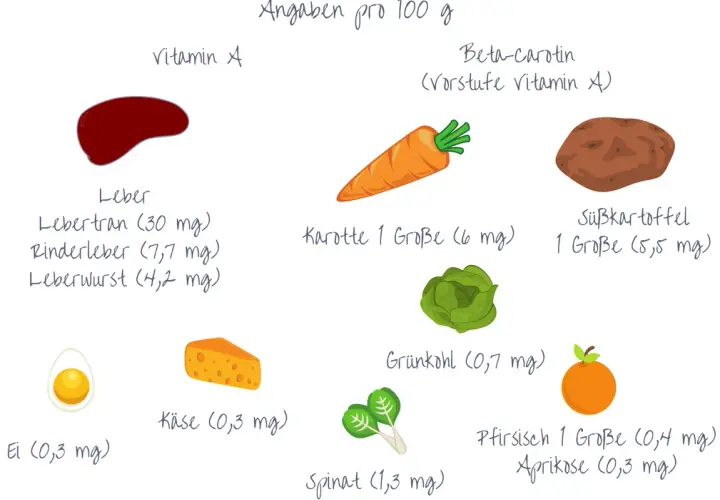 Vitamin A Lebensmittel: Die besten Quellen für Gesundheit und Wohlbefinden