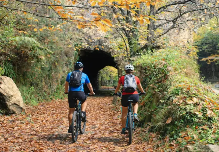 Ciclistas pedalean por la senda del oso, cubierta de hojas otoñales, hacia un túnel de piedra.