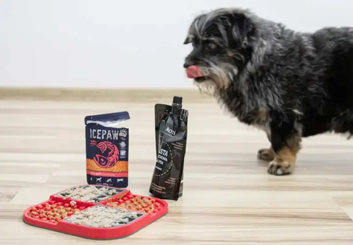 Czym smarować matę do lizania? Bezpieczne pomysły dla Twojego psa