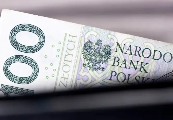 Fragment polskiego banknotu 100 zł z godłem orła i napisem Narodowy Bank Polski.