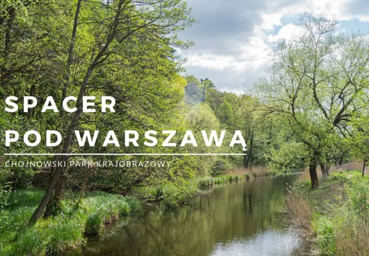 Zielony krajobraz nad wodą, idealne miejsce na spacer pod Warszawą. Chojnowski Park Krajobrazowy zaprasza.