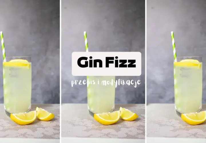 Orzeźwiający gin fizz z cytryną i słomką. Idealny na lato, z przepisem i modyfikacjami.