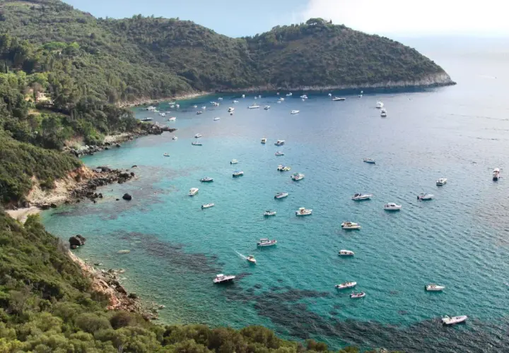 Baie pittoresque de Tirrenia, Italie, avec de nombreux bateaux naviguant sur des eaux turquoise cristallines bordées de collines verdoyantes.
