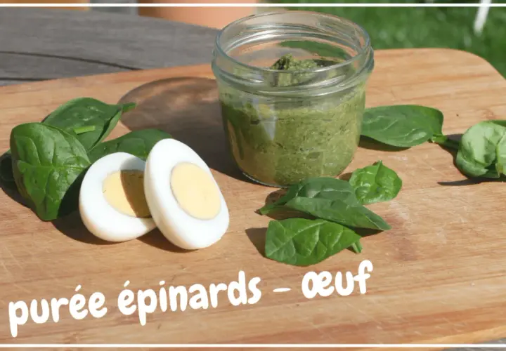 Purée d'épinards et œuf dur, une recette idéale pour un bébé de 6 mois.