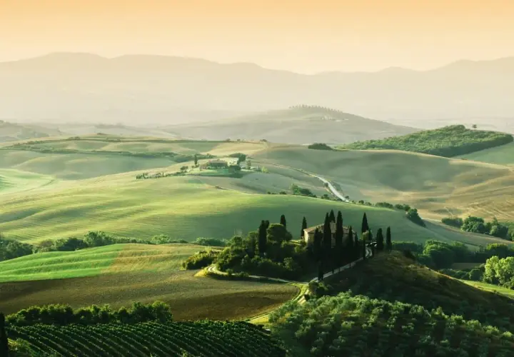 Paysage toscan vallonné avec une ferme, idéal pour l'oenotourisme à Arezzo. Vignes et cyprès bordent les routes sinueuses.